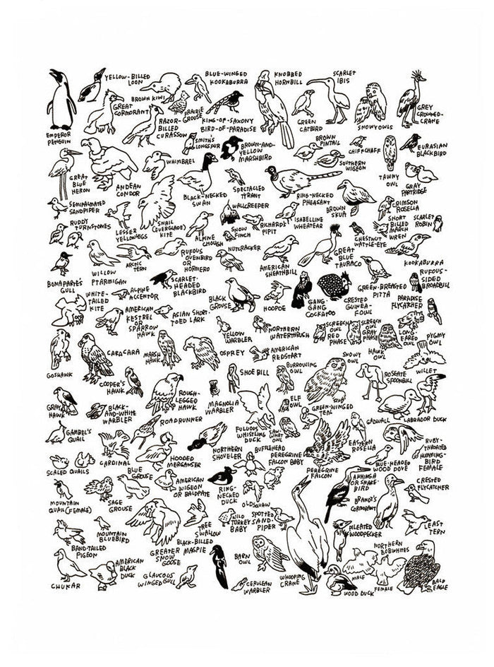 132 Birds at The American Museum of Natural History