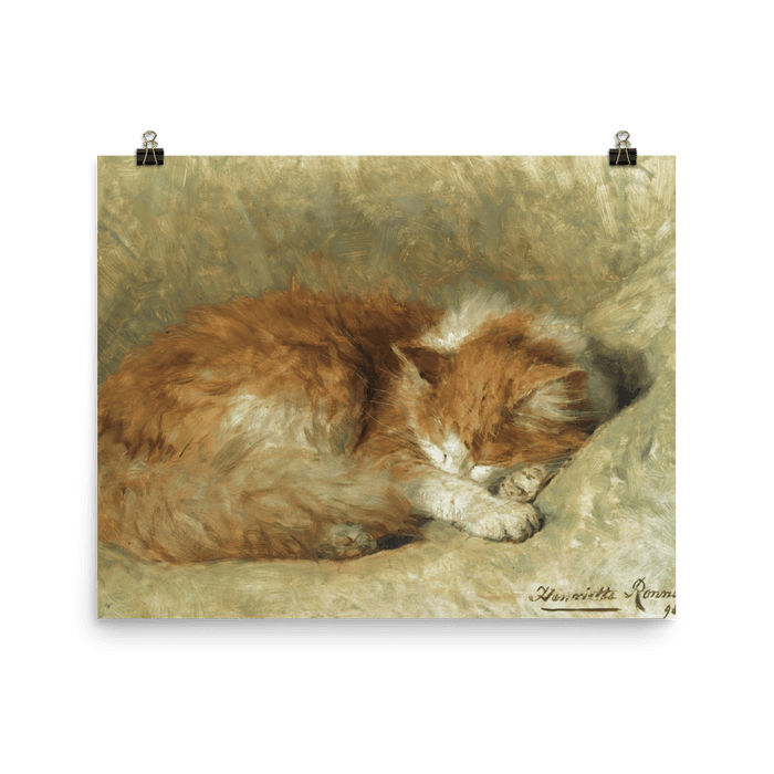 "A Sleeping Cat" Art Print - Lone Fox