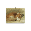 "A Sleeping Cat" Art Print - Lone Fox