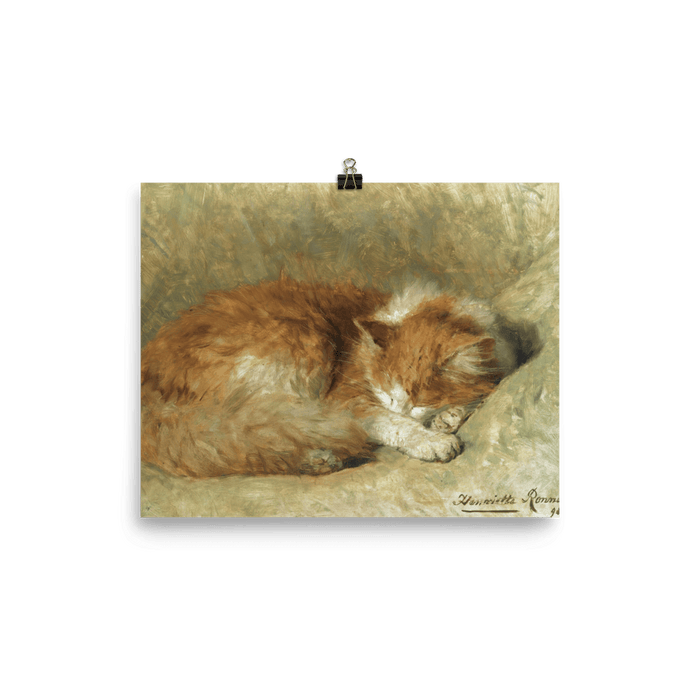 "A Sleeping Cat" Art Print - Lone Fox