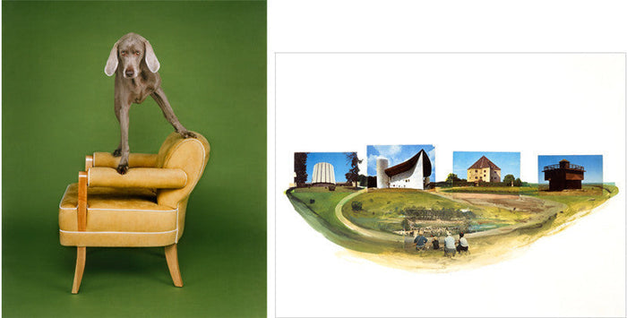 William Wegman's About Four Thirty + The Architects