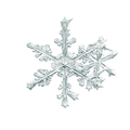 alleverythingthatisyou sno6_005.1