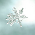 alleverythingthatisyou sno6_005