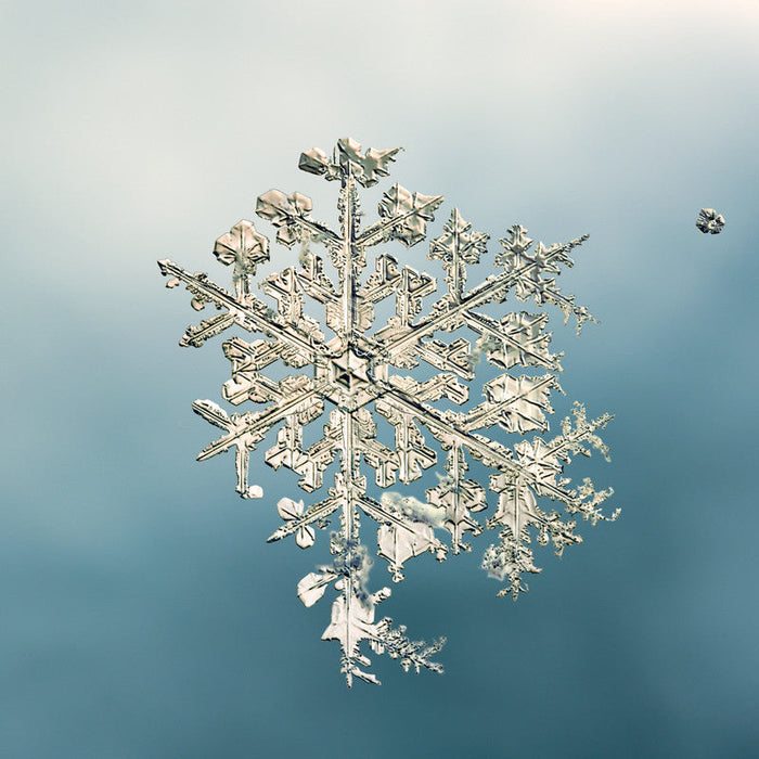 alleverythingthatisyou sno7_057