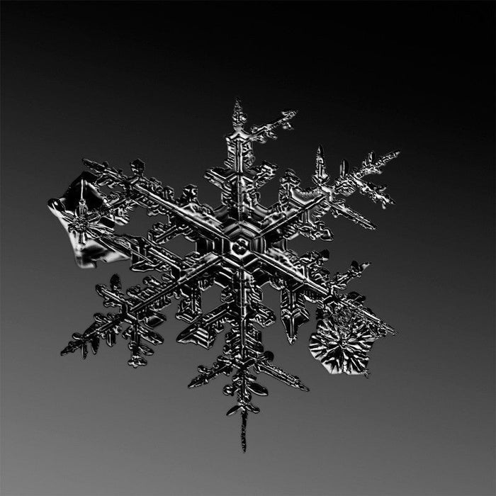 alleverythingthatisyou sno7_077
