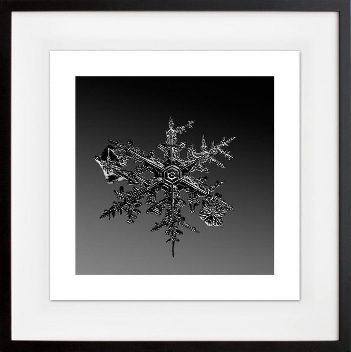 alleverythingthatisyou sno7_077
