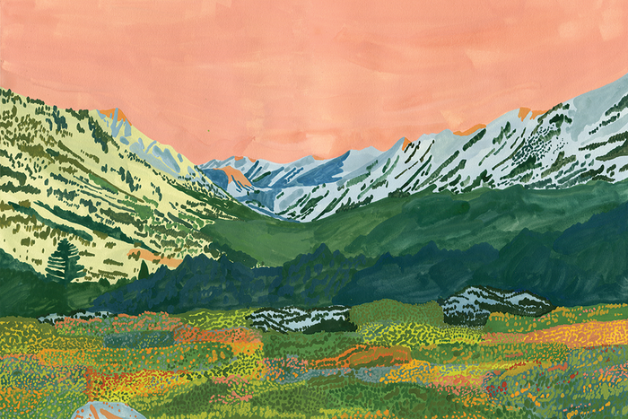 Alpine Glow in the Valley