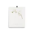 "Amarena cherry flower" Art print - Lone Fox