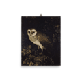 "An Owl" Art Print - Lone Fox