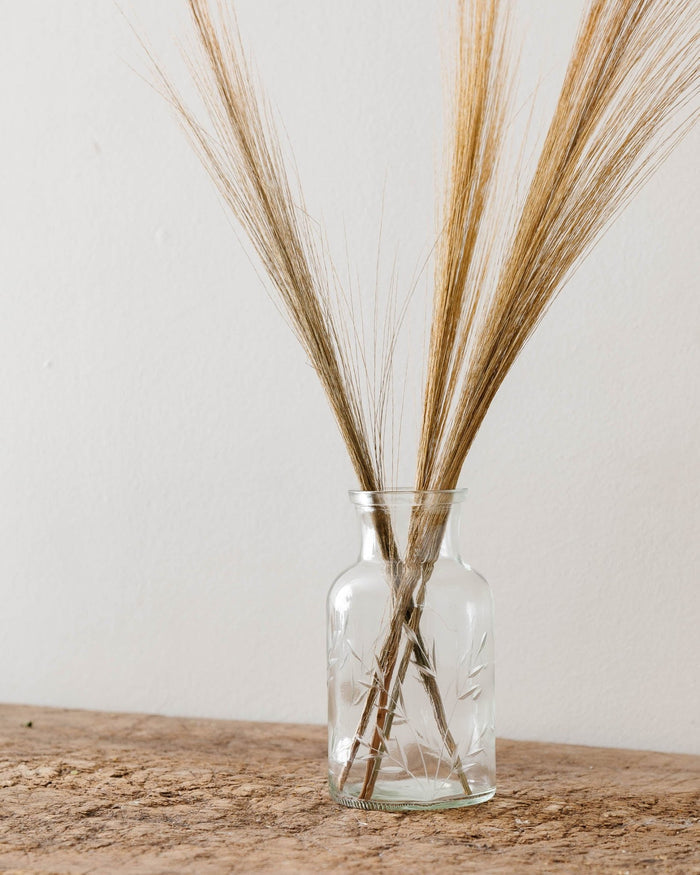 Apothecary Etched Glass Vase - Lone Fox