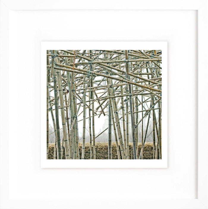 BBMet_03.12.10_K0441