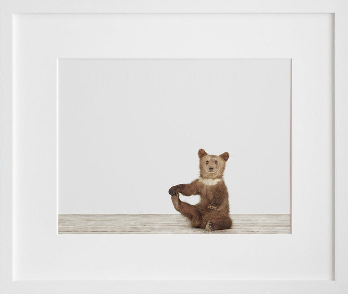 Bear Cub No. 3