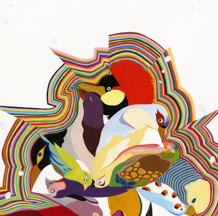 Bird Power