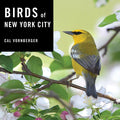 Birds of New York