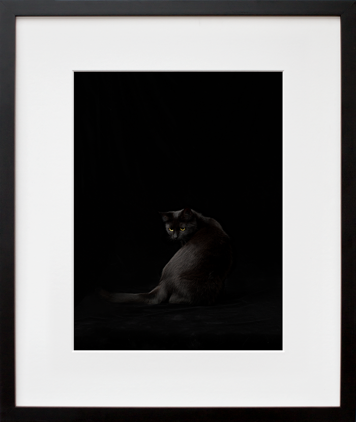 Black Cat