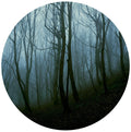 Blackford Forest