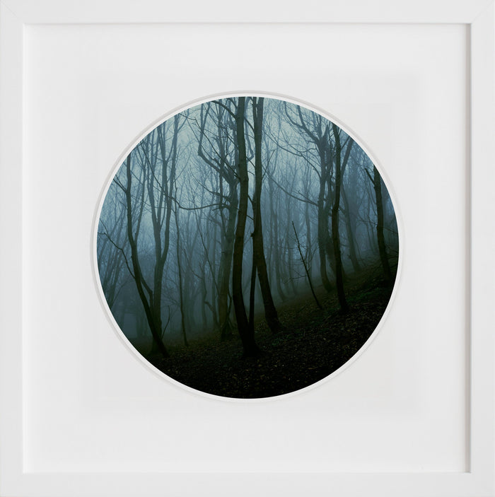 Blackford Forest