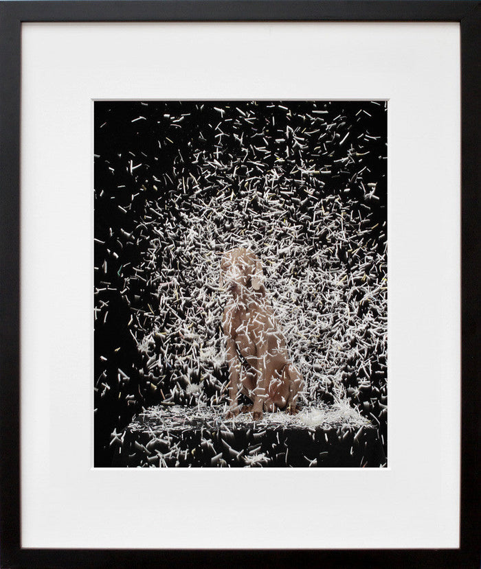 William Wegman's Blizzard in black frame
