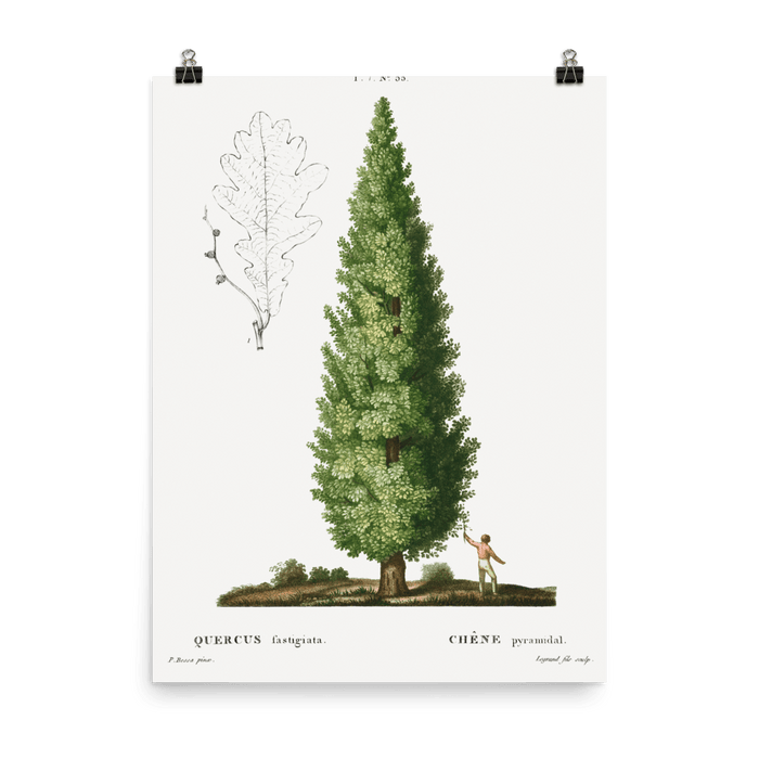 "Boy and Tree" Art Print - Lone Fox