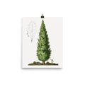 "Boy and Tree" Art Print - Lone Fox