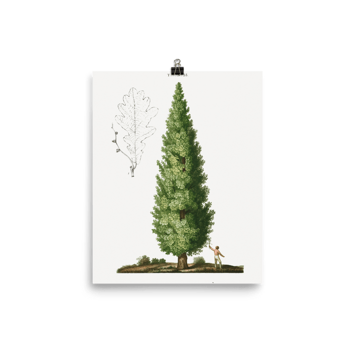 "Boy and Tree" Art Print - Lone Fox