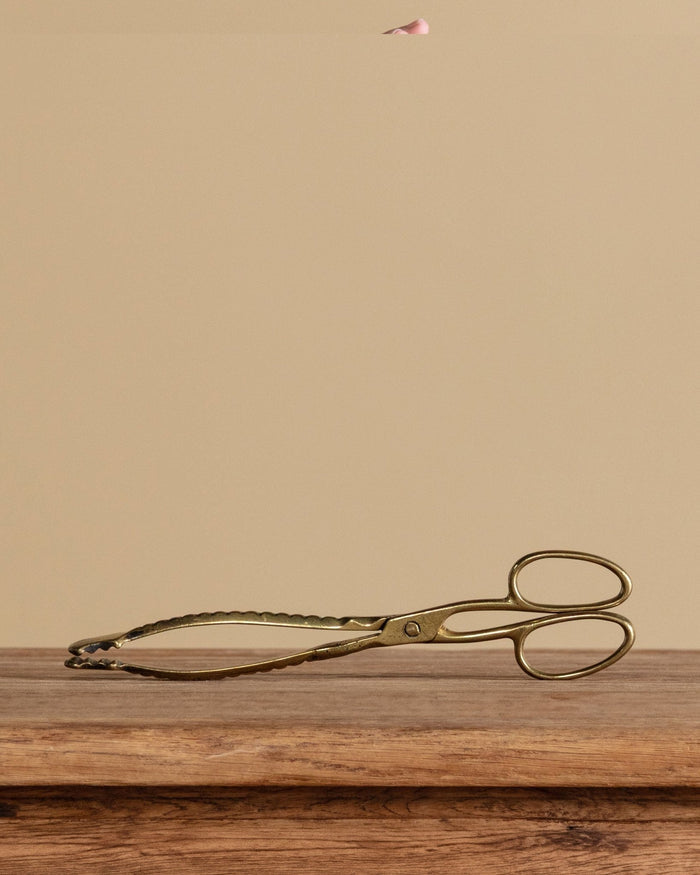 Brass Fireplace Coal Tongs - Lone Fox