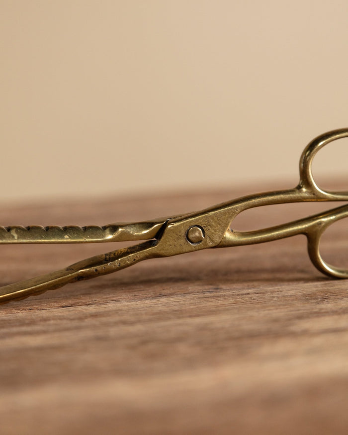 Brass Fireplace Coal Tongs - Lone Fox