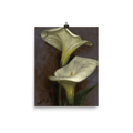 "Calla Lilies" Art Print - Lone Fox