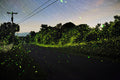 Cemetery Rd, 3169-3327, Viewmont, NY