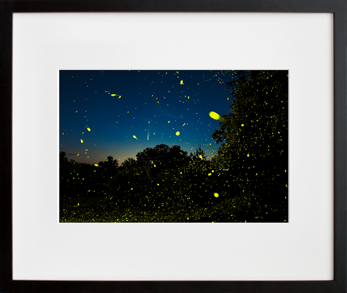 Comet NEOWISE, Fireflies and the Hudson Valley Dawn. Columbia County, NY