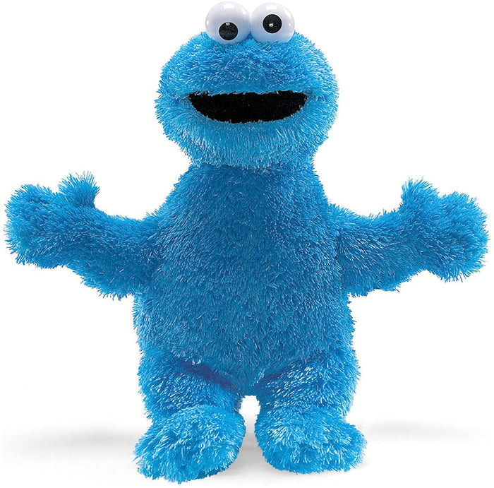 Cookie Monster Plush Toy (12 in)