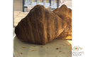 CORNETTO SALATA