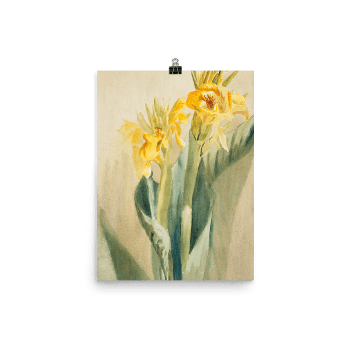 "Daffodil 1915" Art Print - Lone Fox