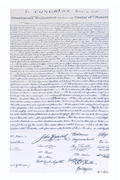 This lightweight rectangular scarf is soft and smooth with a slightly linen‑like texture. It is beige, resembling aged parchment, and printed in black with the opening text of the U.S. Declaration of Independence, including “IN CONGRESS, JULY 4, 1776.” The text appears toward one or both ends, allowing it to be felt lightly through the fabric when draped or wrapped.