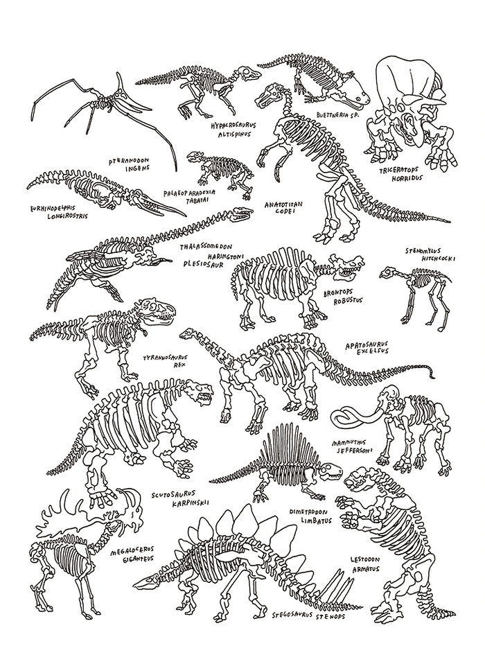 Dinosaurs at The American Museum of Natural History