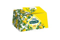 DOLCE LIMONE HOLIDAY CAKE- FLAMIGNI (10.58oz/300g)