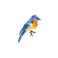 A close-up shows a hand-embroidered Eastern Bluebird brooch shaped like the small songbird, with a softly raised, textured surface. Made from glass beads and sequins over cotton and felt, it shimmers subtly, featuring aquamarine blue feathers, a warm orange breast, orange accents around the eyes, and dark grey legs and claws.