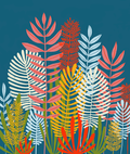 Ferns