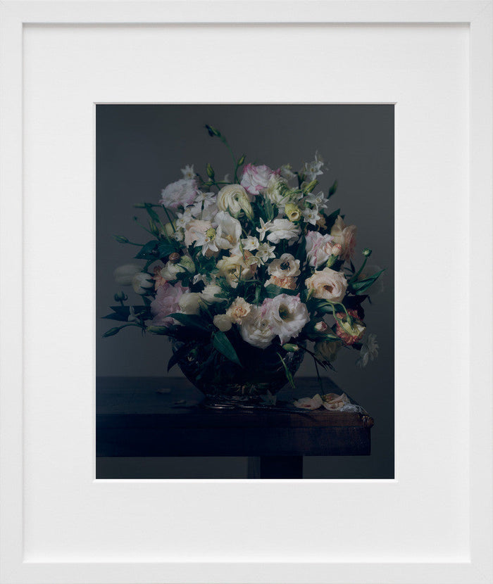 Floral and Insects