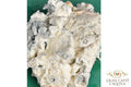 GORGONZOLA DOLCE DOP (8 OZ)