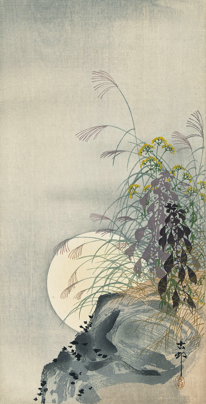 Grasses at full moon