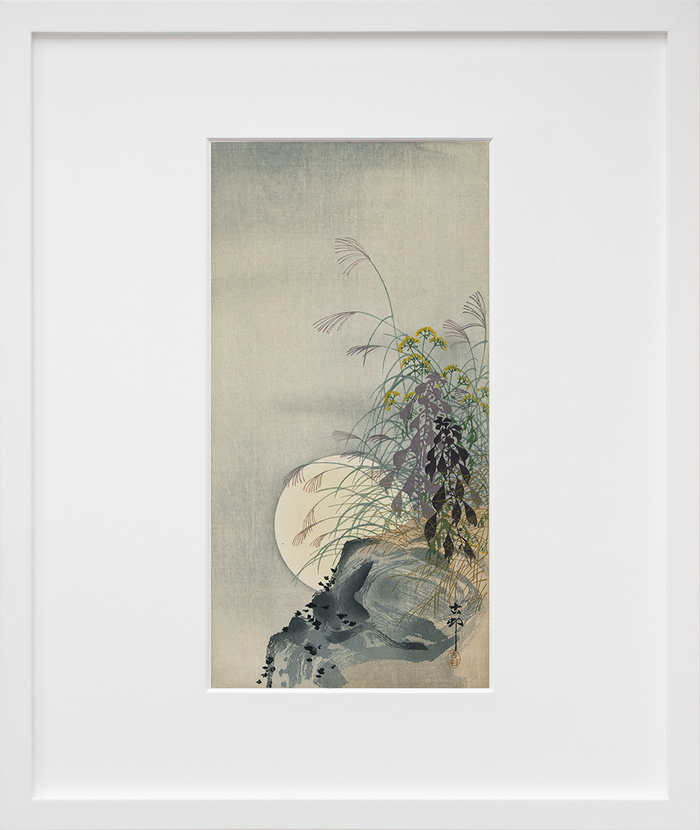 Grasses at full moon
