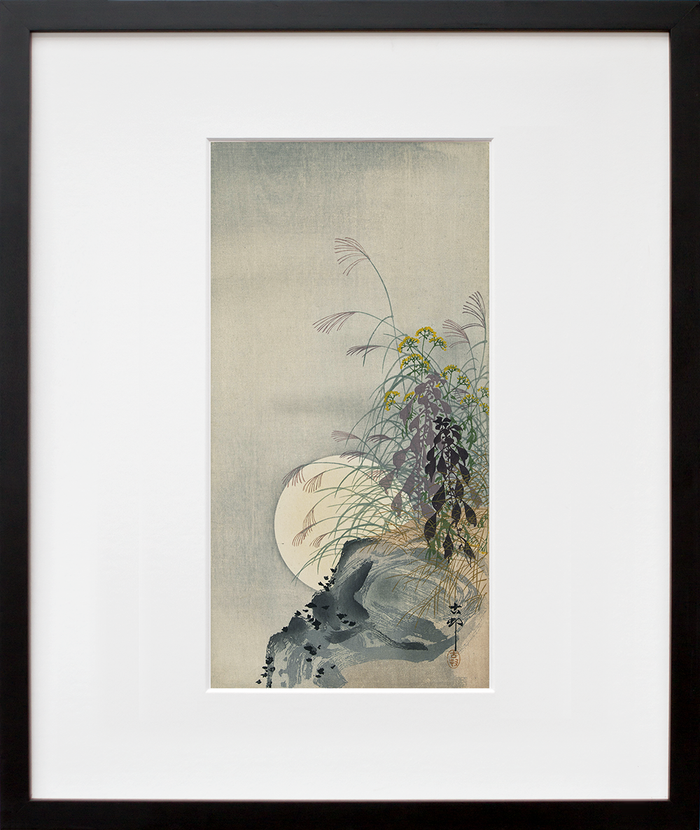 Grasses at full moon