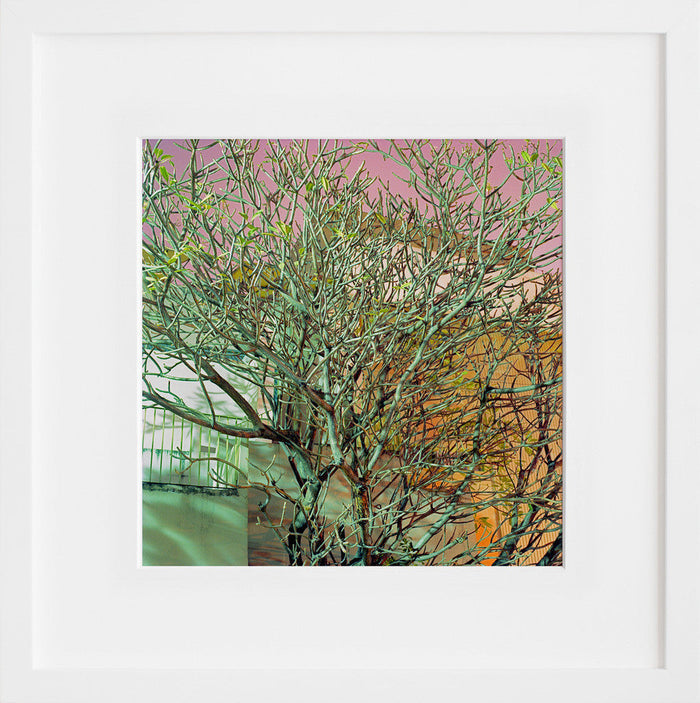 Green Branches