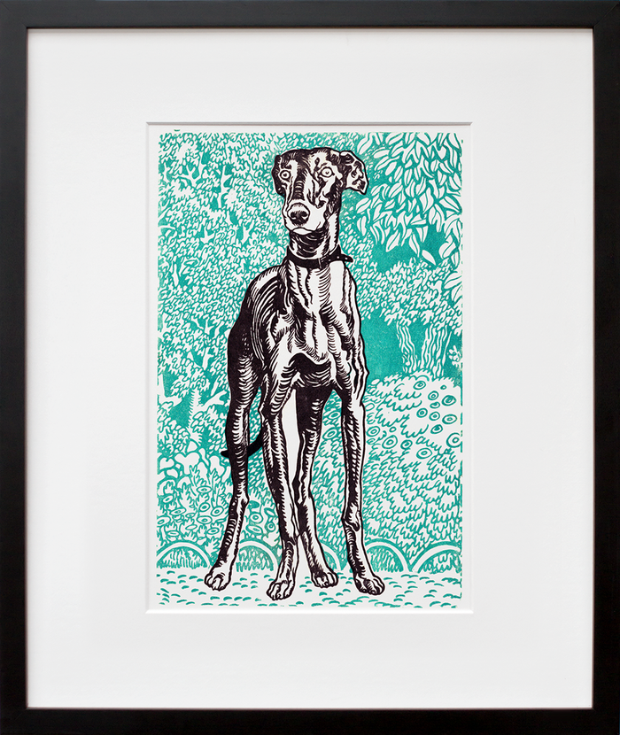 Greyhound