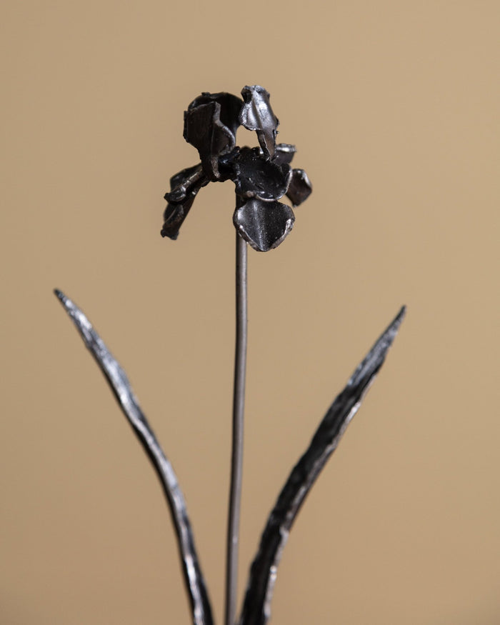 Hand Forged Iron Iris in Vase - Lone Fox