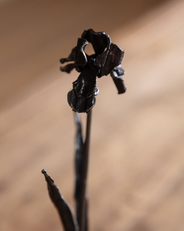 Hand Forged Iron Iris in Vase - Lone Fox