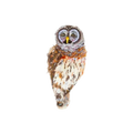 A close-up of a Hoot Owl (Great Horned Owl) brooch set against a plain background. The small owl has a rounded body in warm browns, with a cream breast delicately speckled in orange and brown. Its lilac head is upright and forward-facing, highlighting a petite yellow beak. Fine hand embroidery creates a richly textured, raised surface, giving the feathers a soft, plush appearance with subtle depth and dimension.