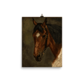"Horse’s head" Art Print - Lone Fox