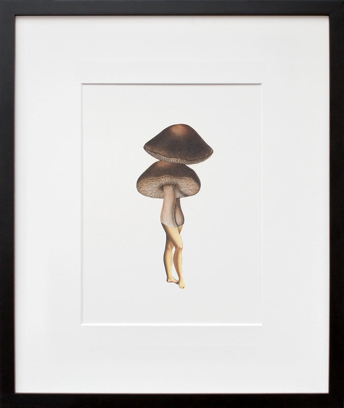 Lady-shroom